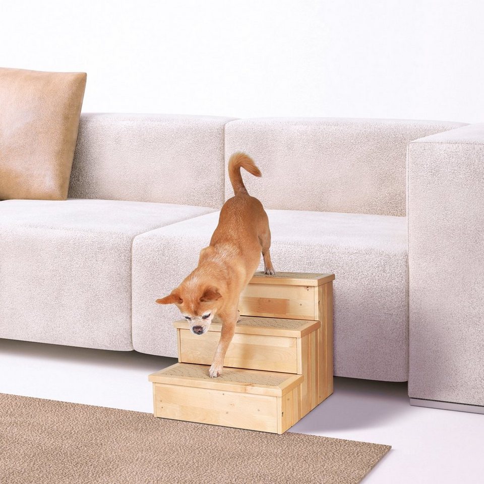 hunde treppe hunde treppe