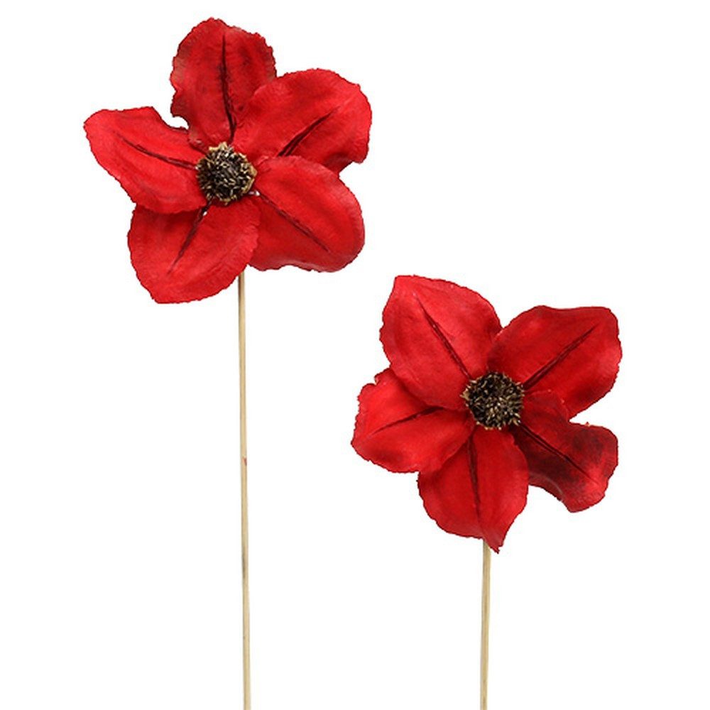 Trockenblume Holzblüte Stecker Rot Deko 9-12cm 45cm 15 Stück Blumen