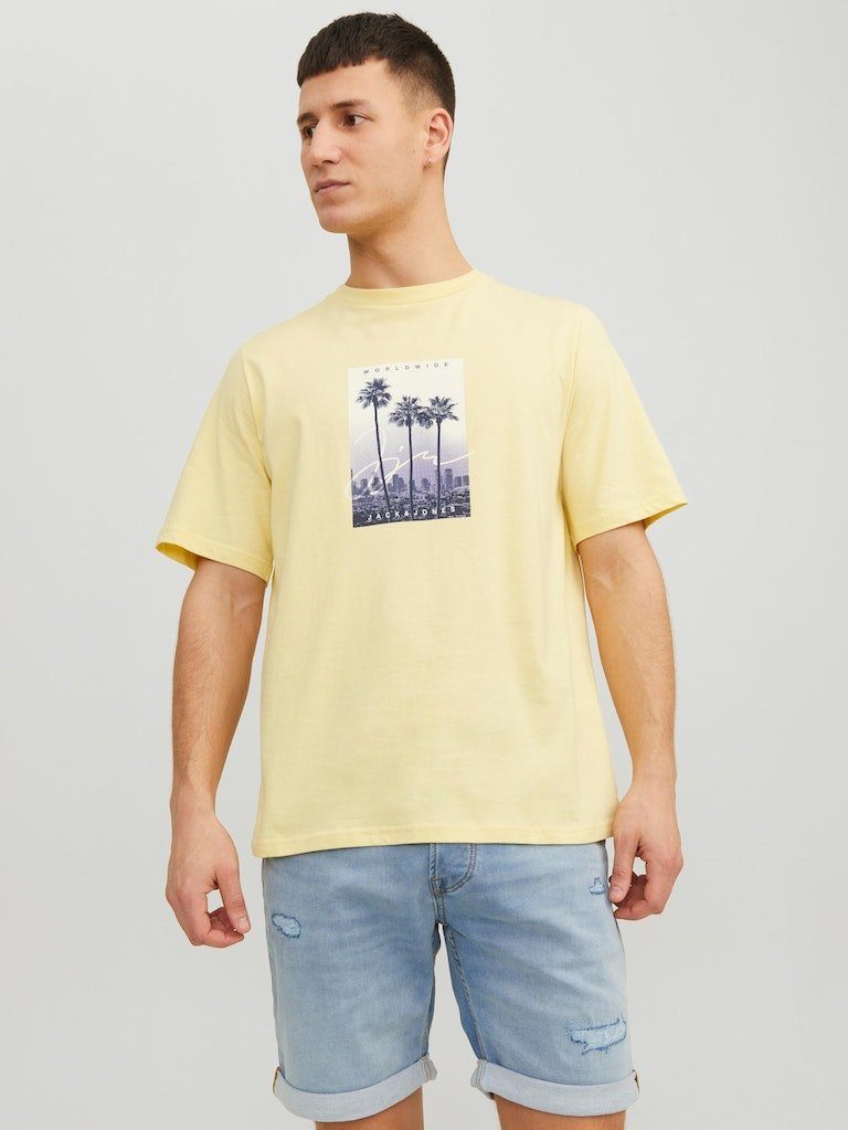 Jack & Jones Kurzarmshirt JORSPLASH PHOTO günstig online kaufen