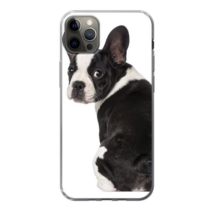 MuchoWow Handyhülle Französische Bulldogge Welpe blickt zurück Handyhülle Apple iPhone 13 Pro Max Smartphone-Bumper Print Handy