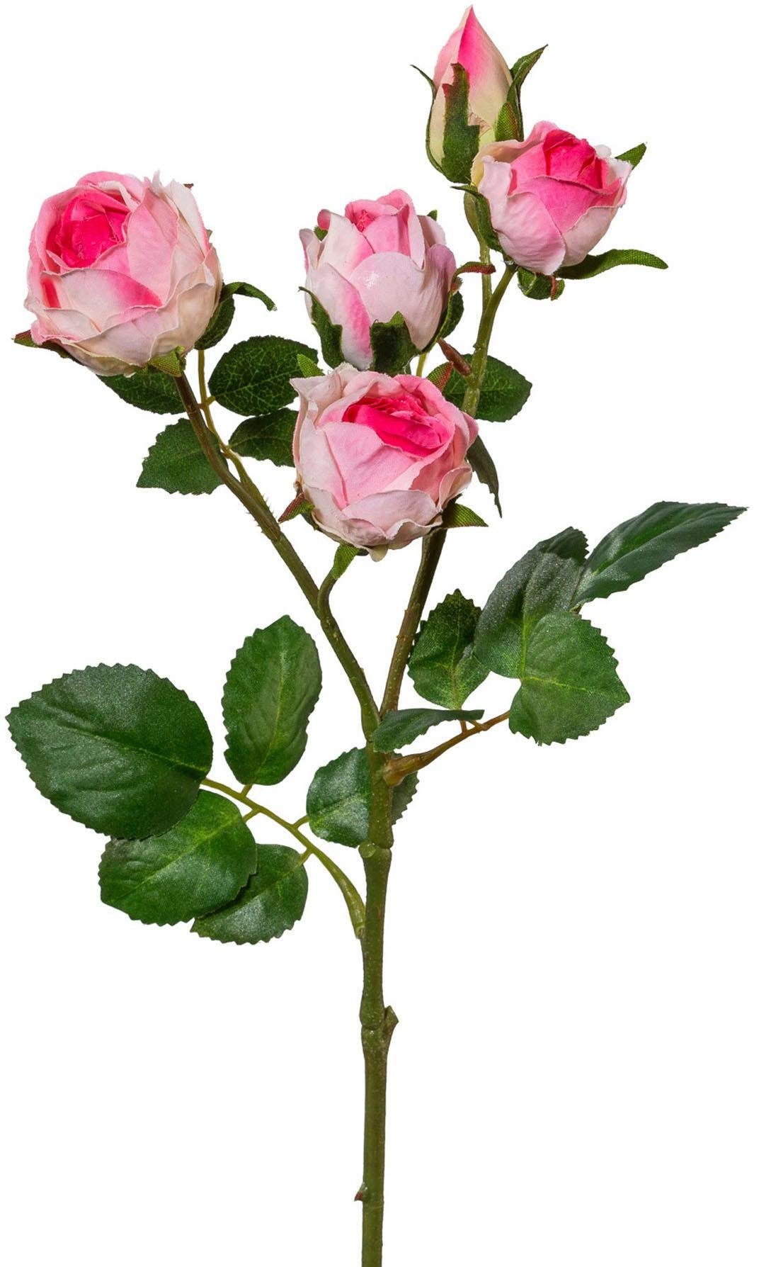 Kunstblume, Creativ green, Höhe 39 cm, 4er Set günstig online kaufen