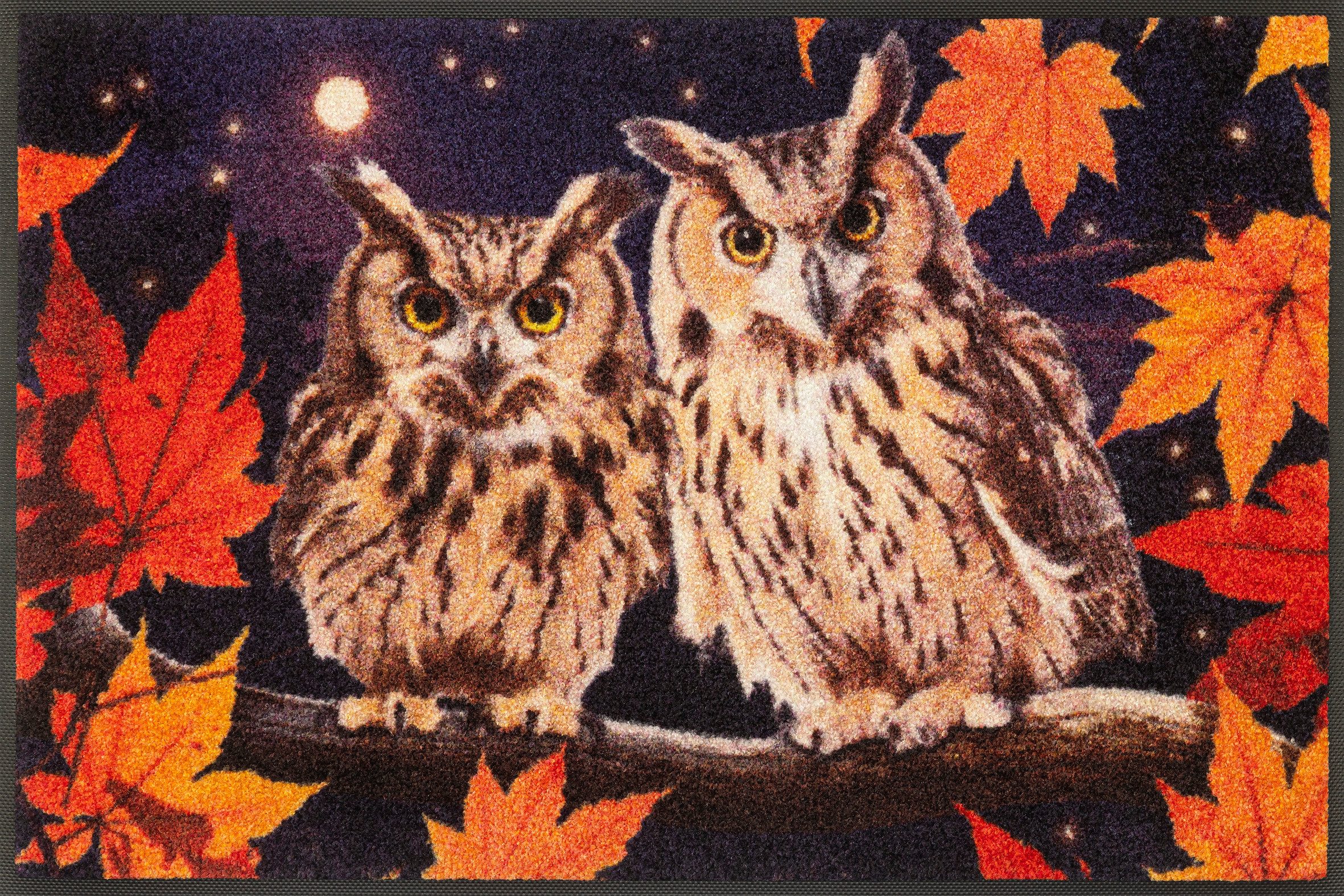 wash+dry by Kleen-Tex Fußmatte Night Owls, günstig online kaufen