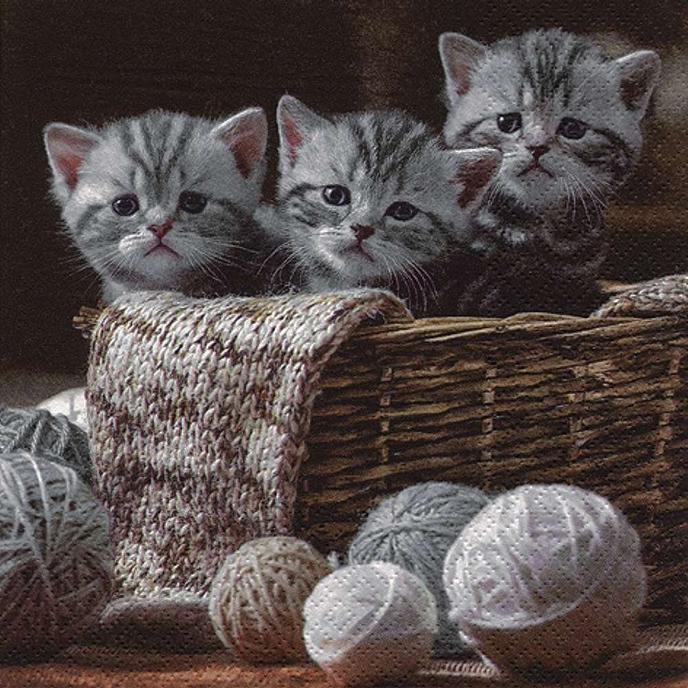 Linoows Papierserviette 20 Servietten, drei kleine Katzen im Korb,  Katzenbabys, Motiv drei kleine Katzen im Korb, Katzenbabys