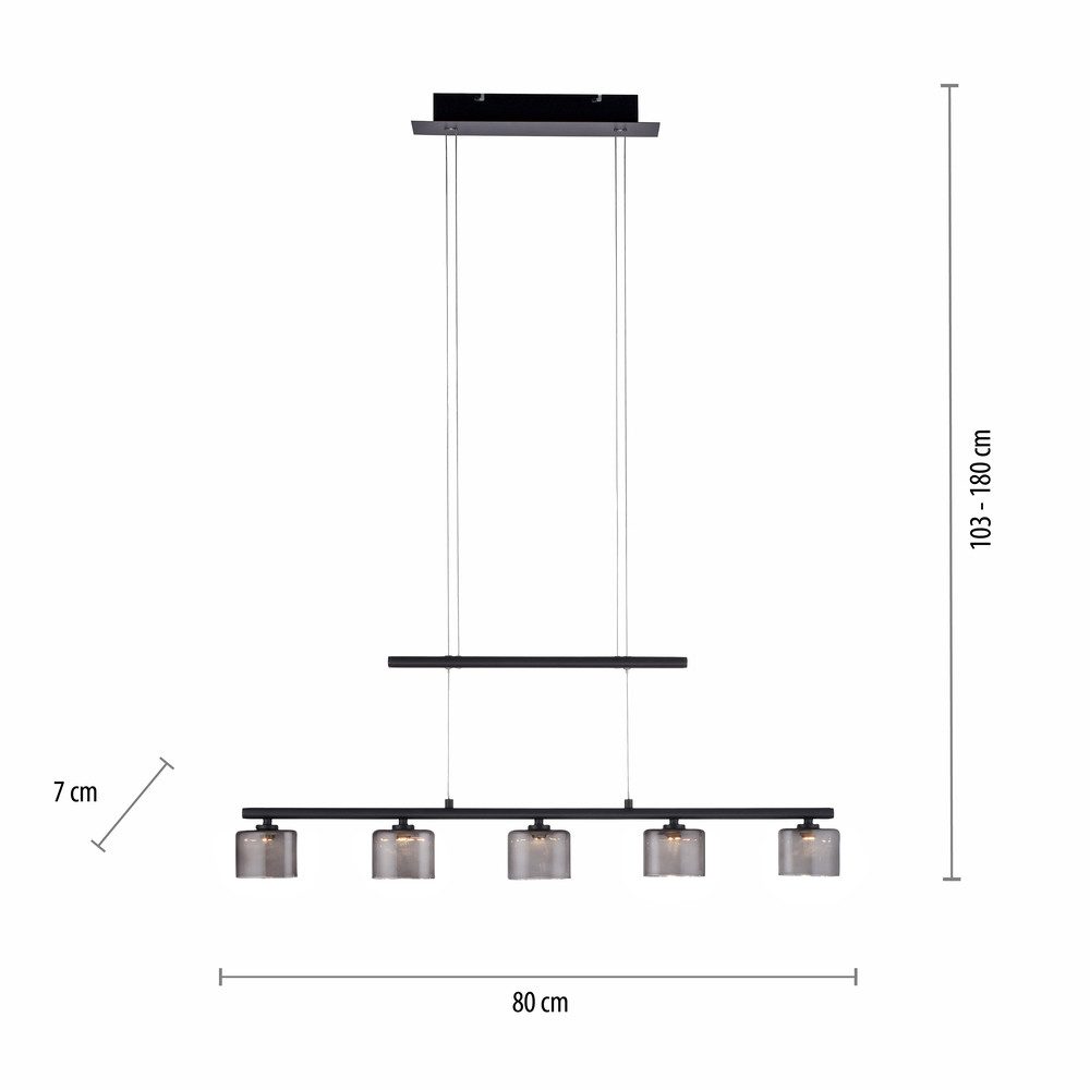 Paul Neuhaus LED Pendelleuchte LED Pendelleuchte HYDRA, höhenverstellbar, 5x LED-Board/ 4 Watt, 3000 Kelvin, höhenverstellbar, Glasschirme klassisch – Bild 4 von 5