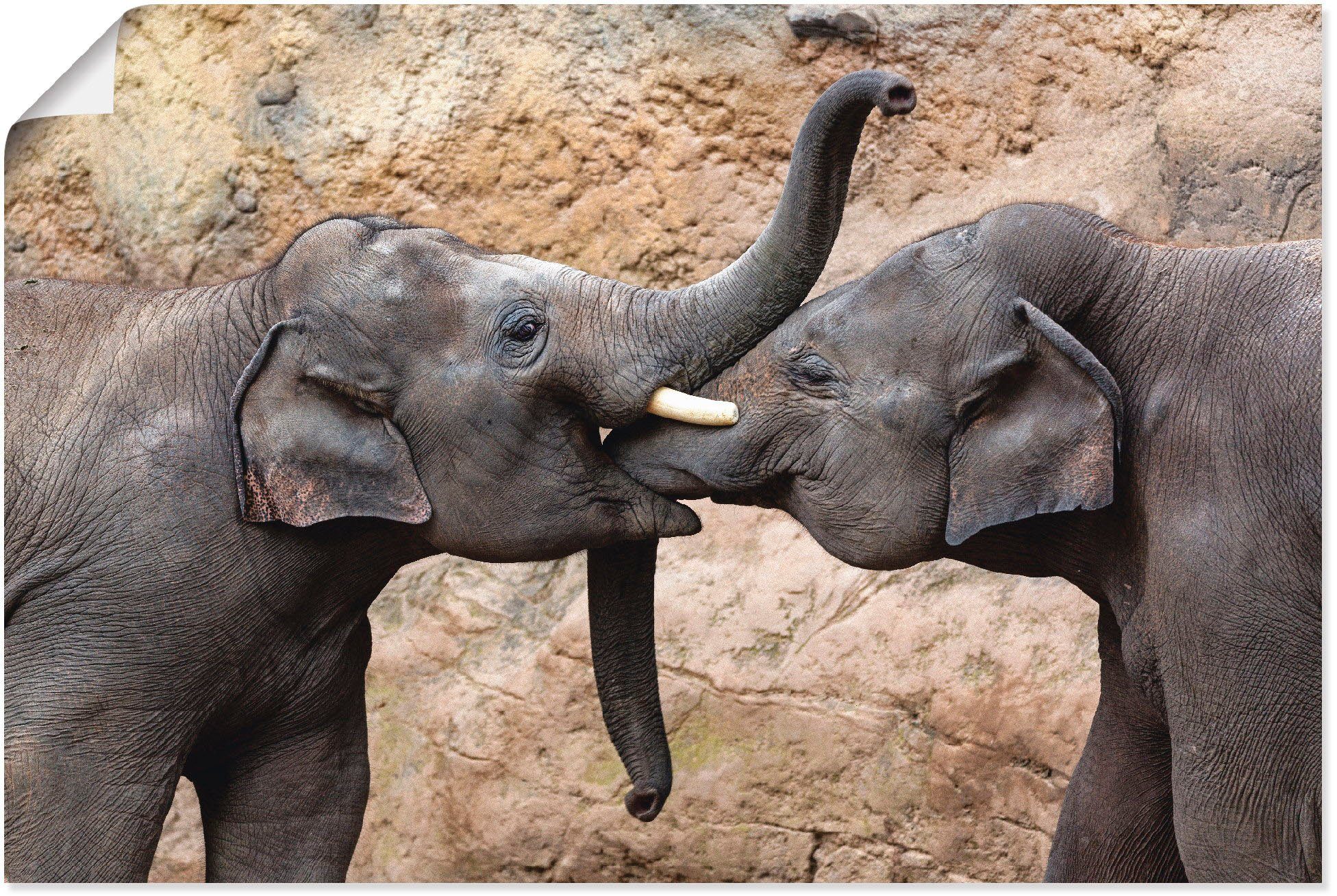 Artland Wandbild »Elefanten rüsseln«, Wildtiere (1 Stück), in vielen