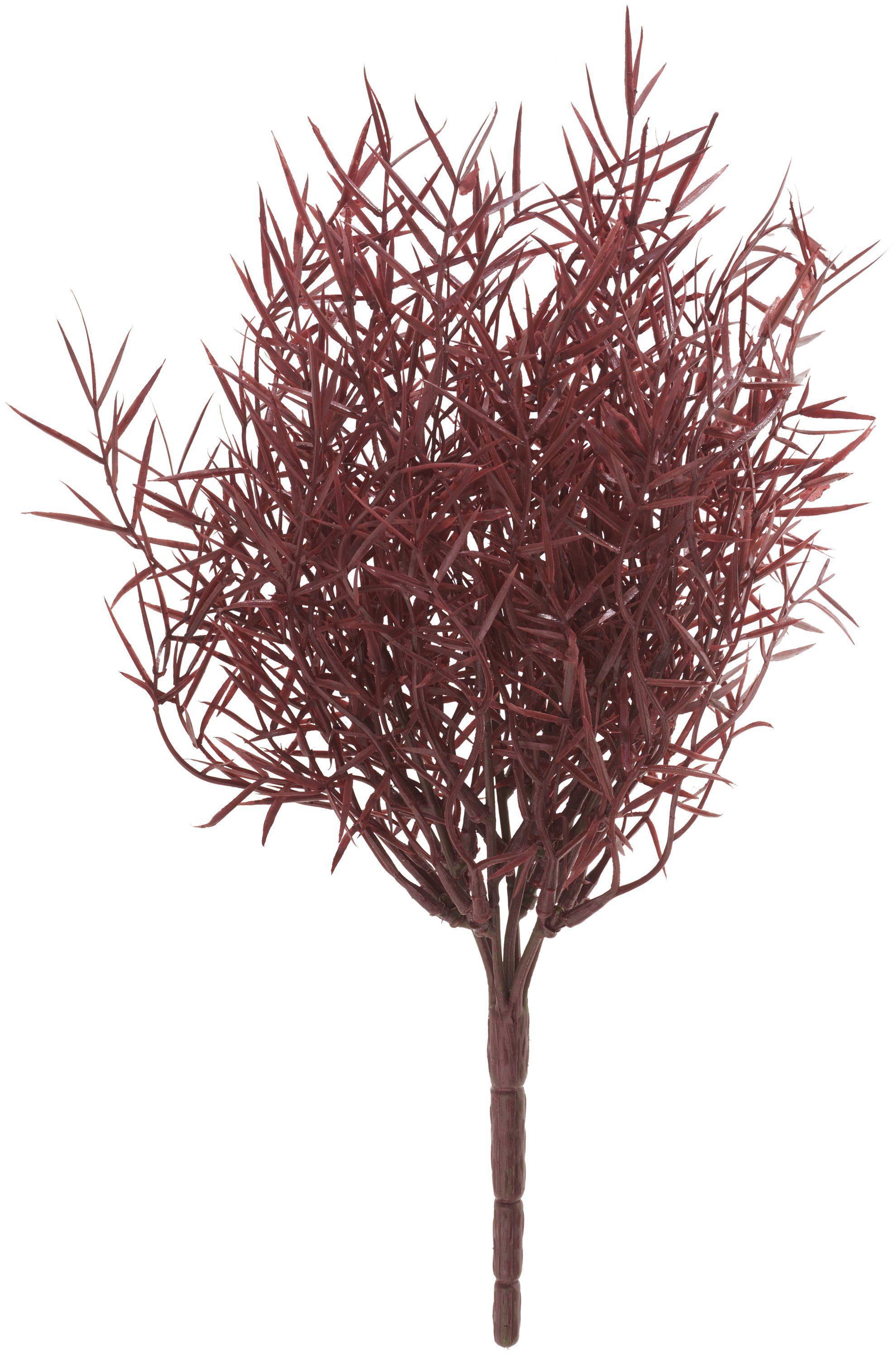 Kunstblume Zierspagel Sprengeri, Bund 32 cm