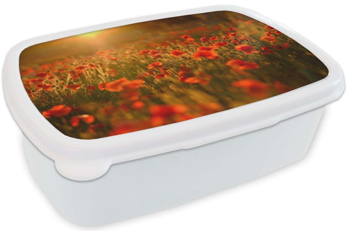 MuchoWow Lunchbox Orangefarbenes Leuchten Mädchen und für für Erwachsene, Brotbox über Kunststoff, weiß Feld, auf Brotdose, den Jungs Mohnblumen Kinder und dem (2-tlg)