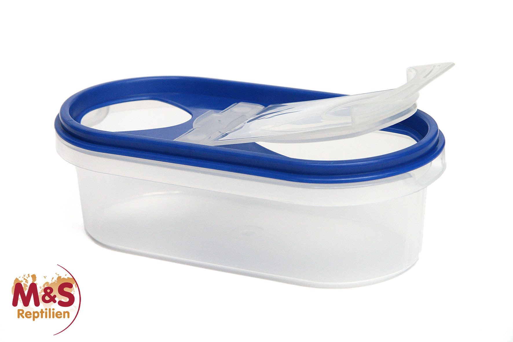Terrarium Moosbox einfach, klein (blau)