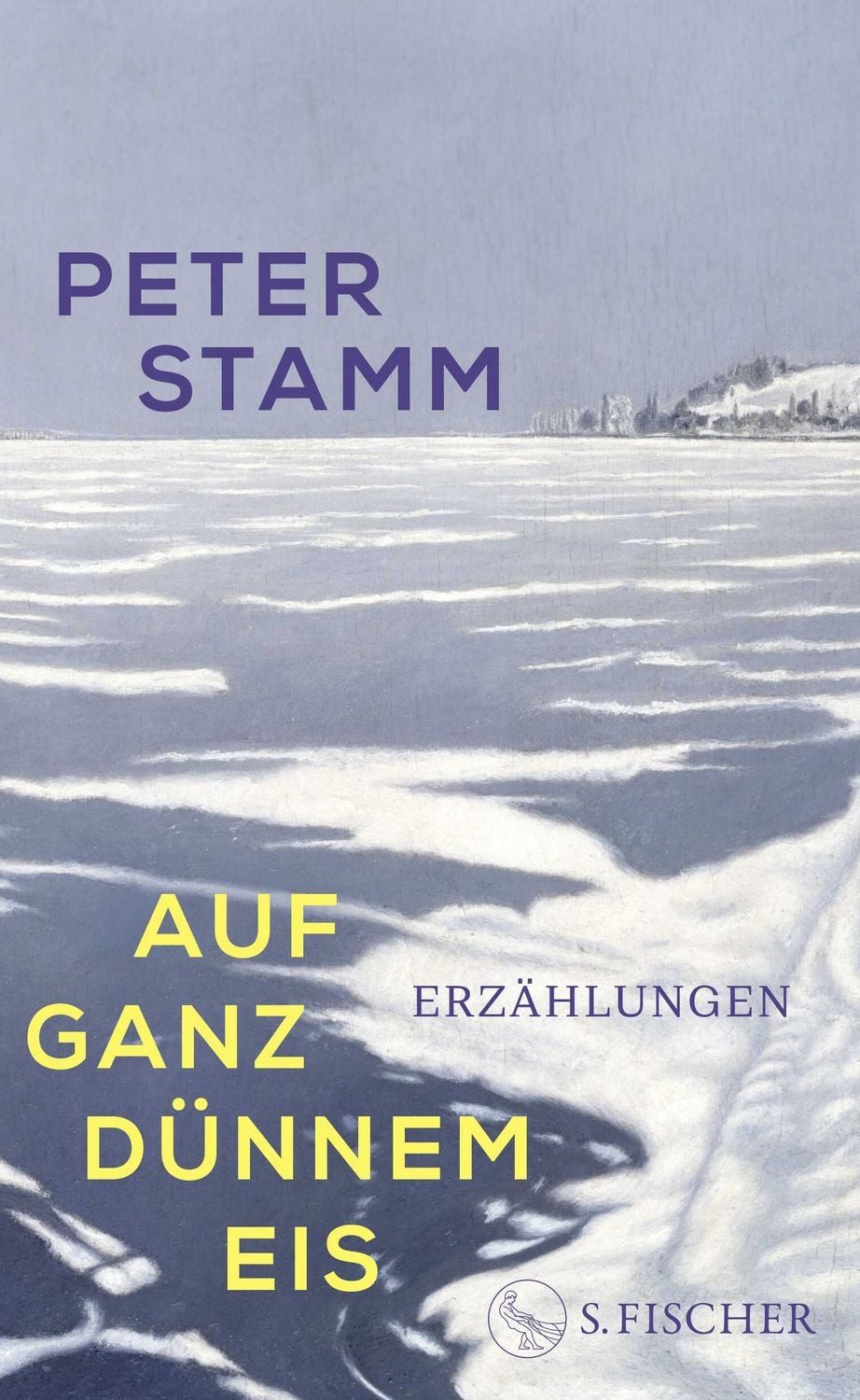 Auf ganz dünnem Eis / Peter Stamm