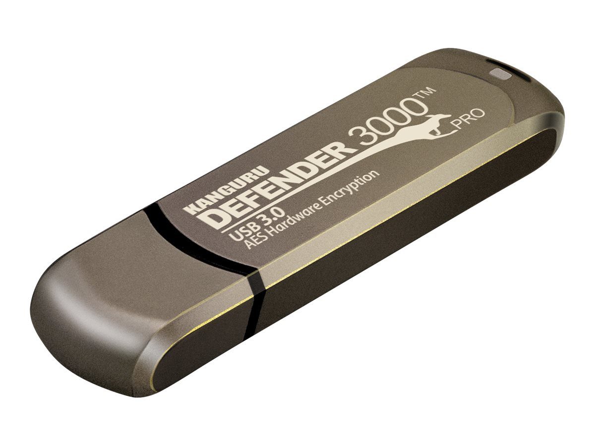 Kanguru KANGURU Defender 3000 256GB USB-Stick