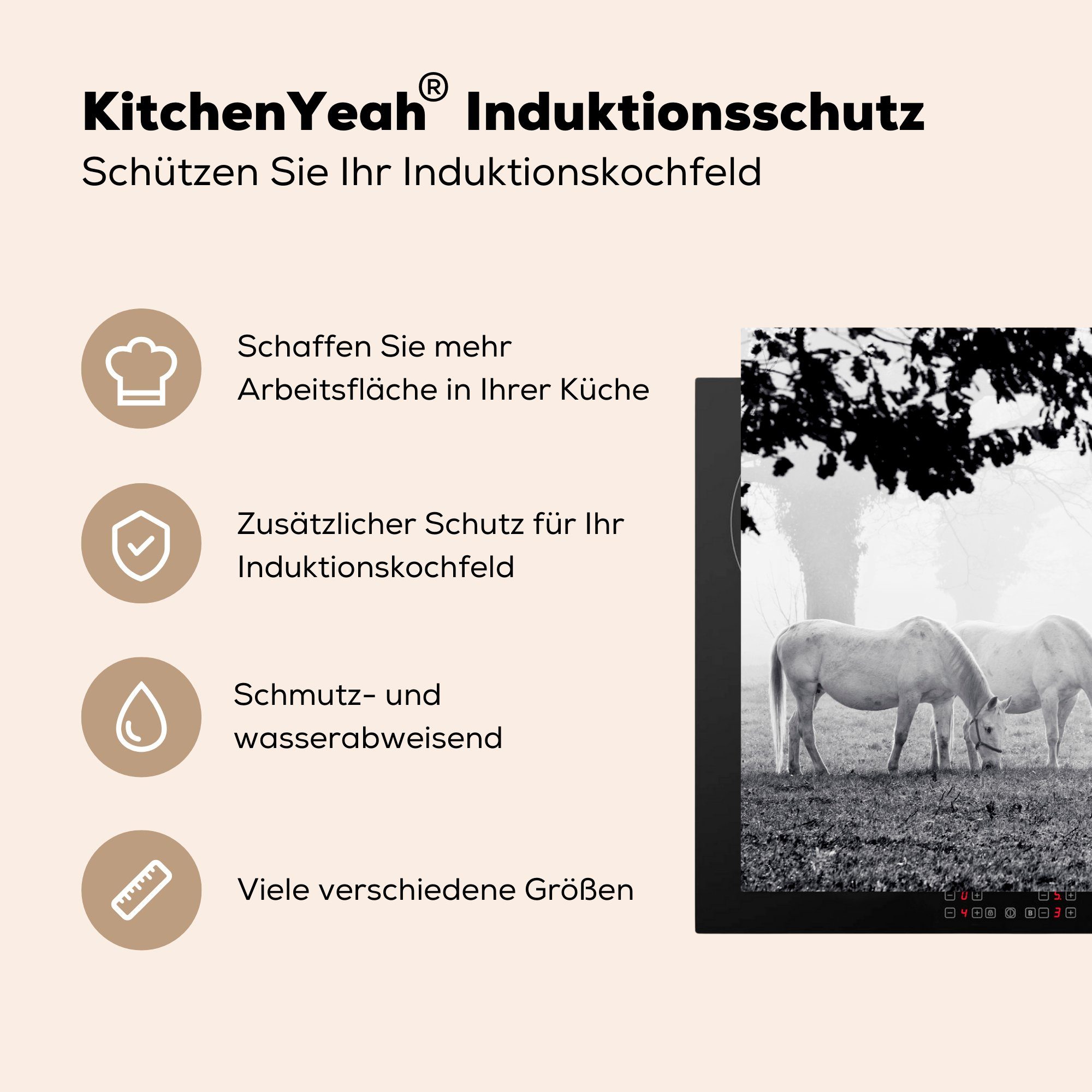 MuchoWow Herdblende-/Abdeckplatte Pferde - Lipizzaner Weiß, Induktionskochfeld küche, Ceranfeldabdeckung (1 die Schutz - Vinyl, für 81x52 - Schwarz cm, tlg)