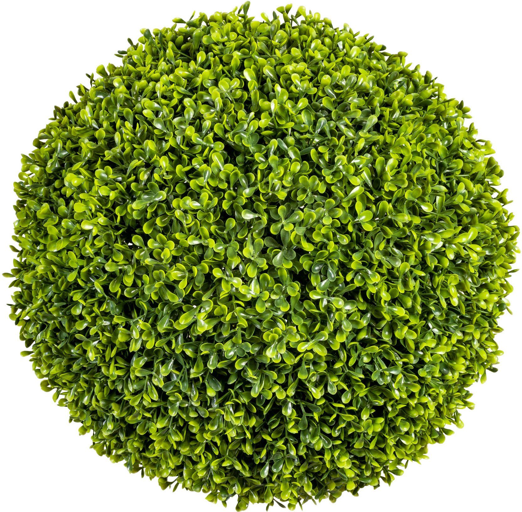 Kunstpflanze »Buchsbaumkugel« Buchsbaum, Creativ green, Höhe 39 cm-Otto