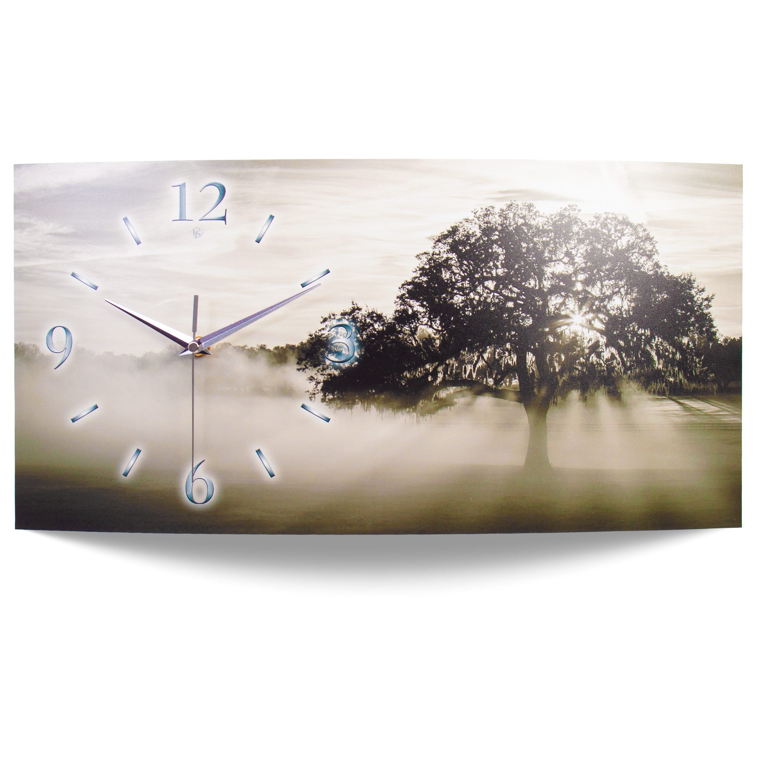 Kreative Feder Wanduhr "Natur" Designer Wanduhr aus Alu, leise (ohne Ticken; Quarz oder Funkuhrwerk; verschiedene Größen)