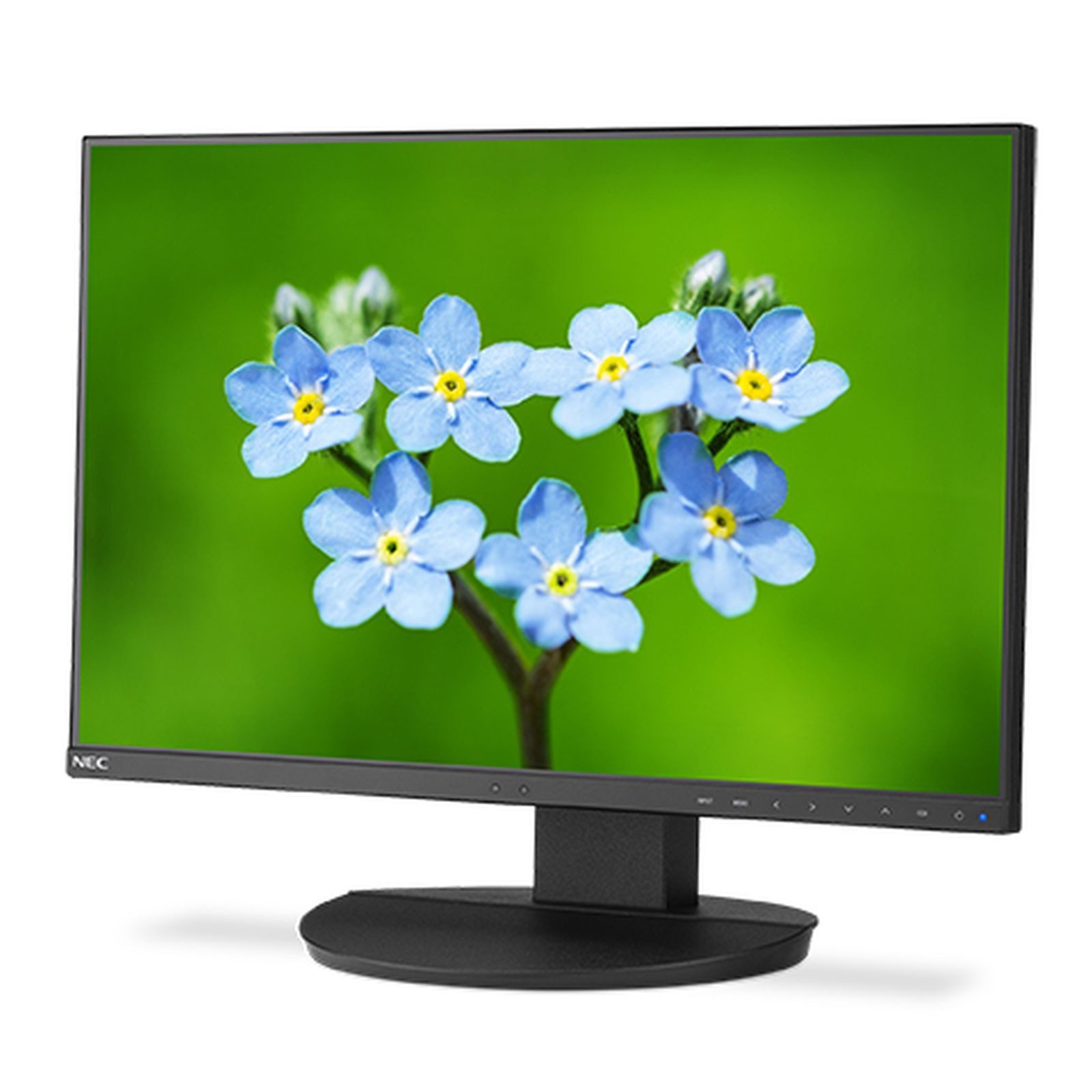 Display MultiSync EA231WU-BK - LED - 58.4 cm (23) TFT-Monitor