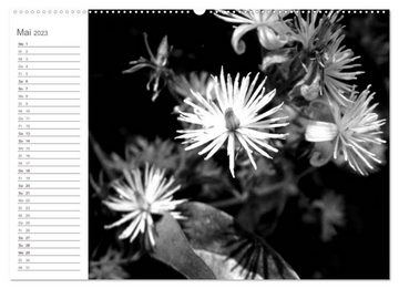 CALVENDO Wandkalender Florale Kontraste in Schwarz-Weiß (Premium, hochwertiger DIN A2 Wandkalender 2023, Kunstdruck in Hochglanz)