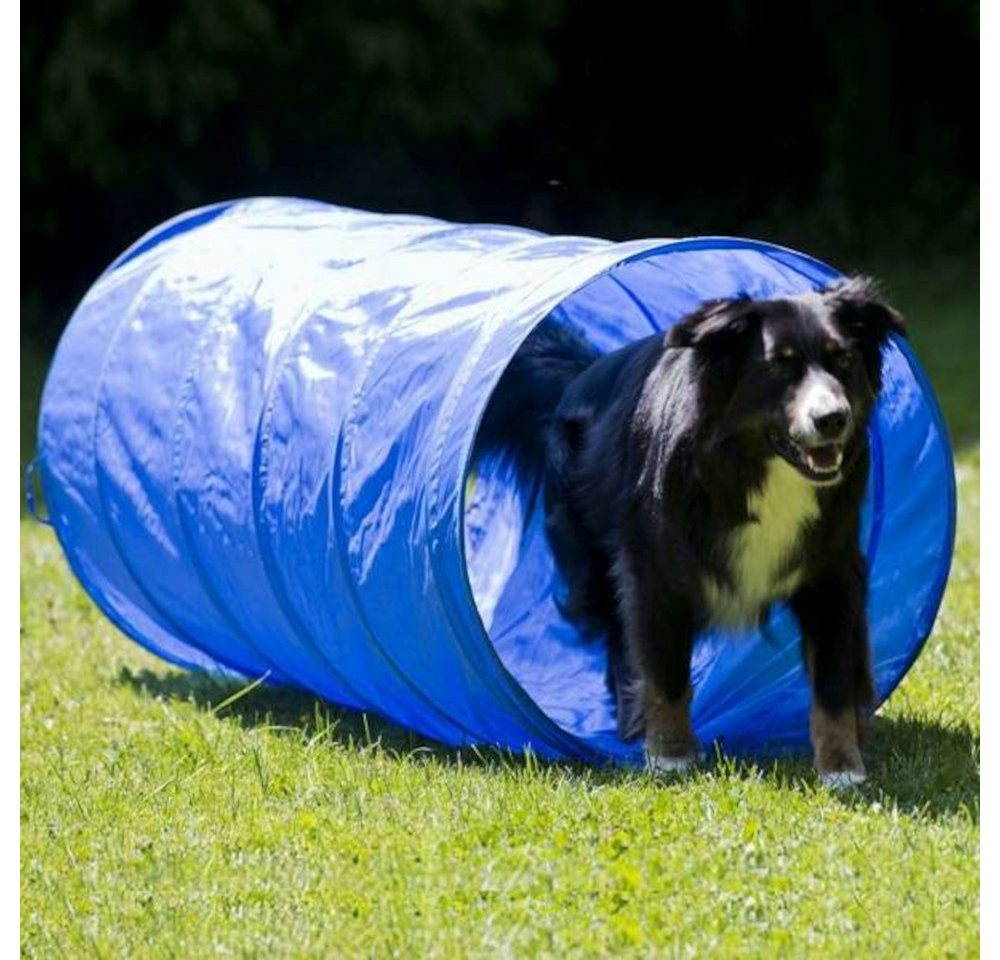 Thumbnail - Procyon Agility-Slalom Dog Agility Starter-Set