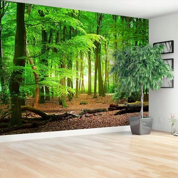 Tulup Fototapete Fototapete Vliestapete XXL Wand Modern Tapete Wohnzimmer - Wald, botanisch