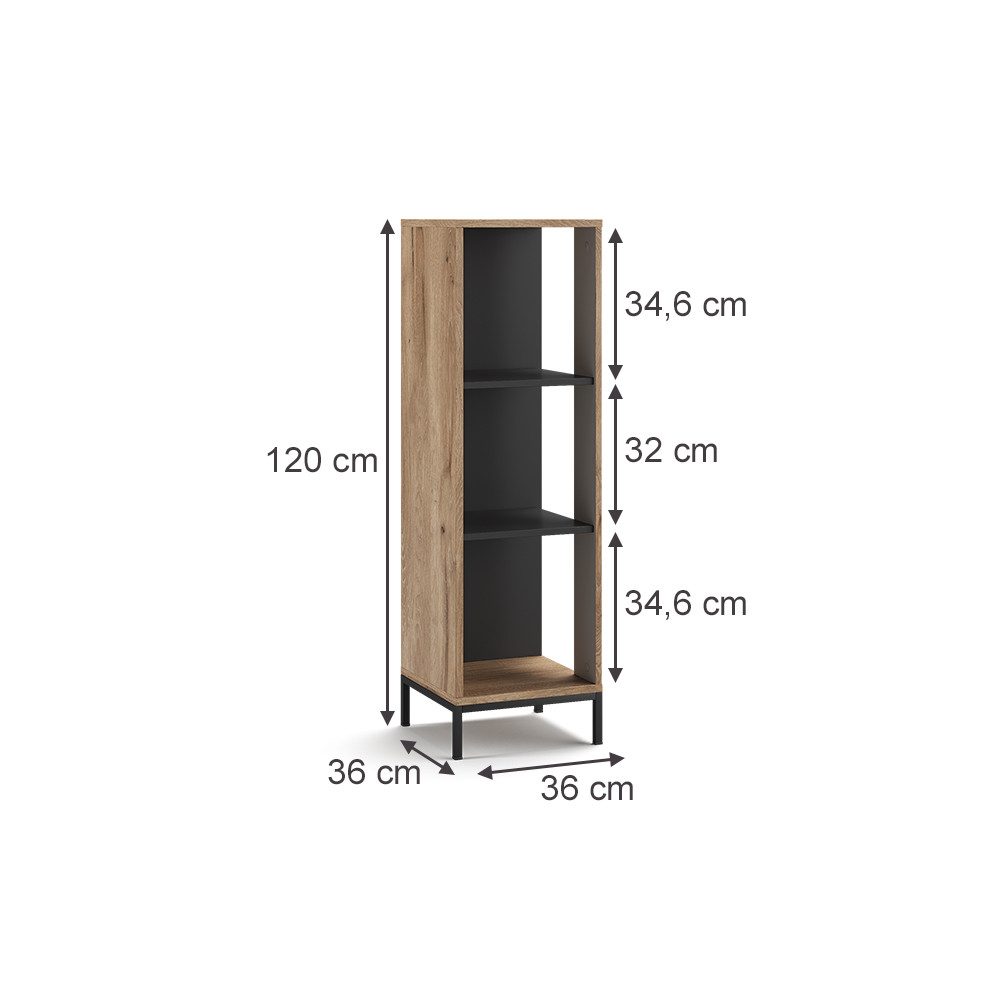 Vicco Bücherregal Eliza, Viking Oak, 36 günstig online kaufen