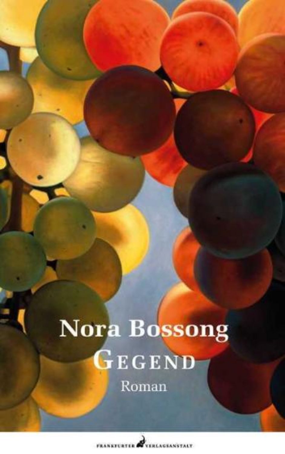 Gegend / Nora Bossong