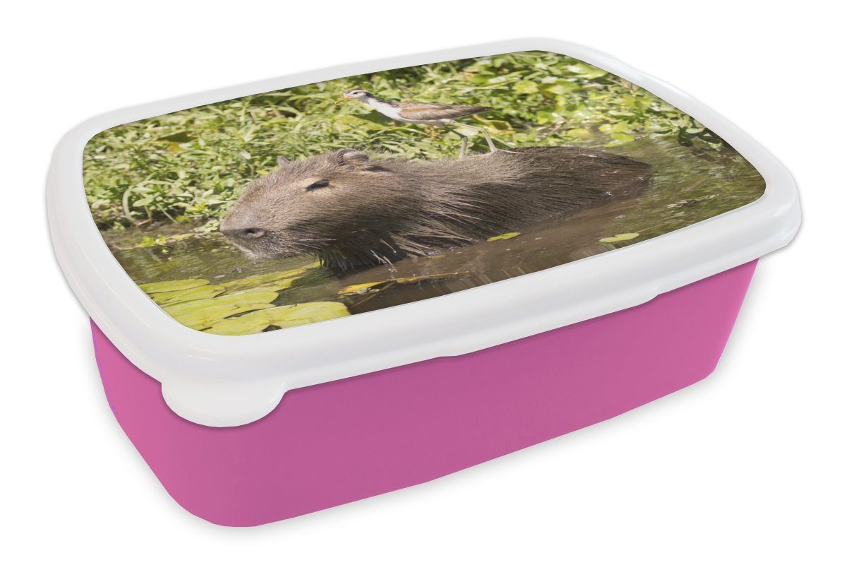 MuchoWow Lunchbox Ein Wasserschwein sitzt im Wasser mit einem Vogel darauf, Kunststoff, (2-tlg), Brotbox für Erwachsene, Brotdose Kinder, Snackbox, Mädchen, Kunststoff rosa