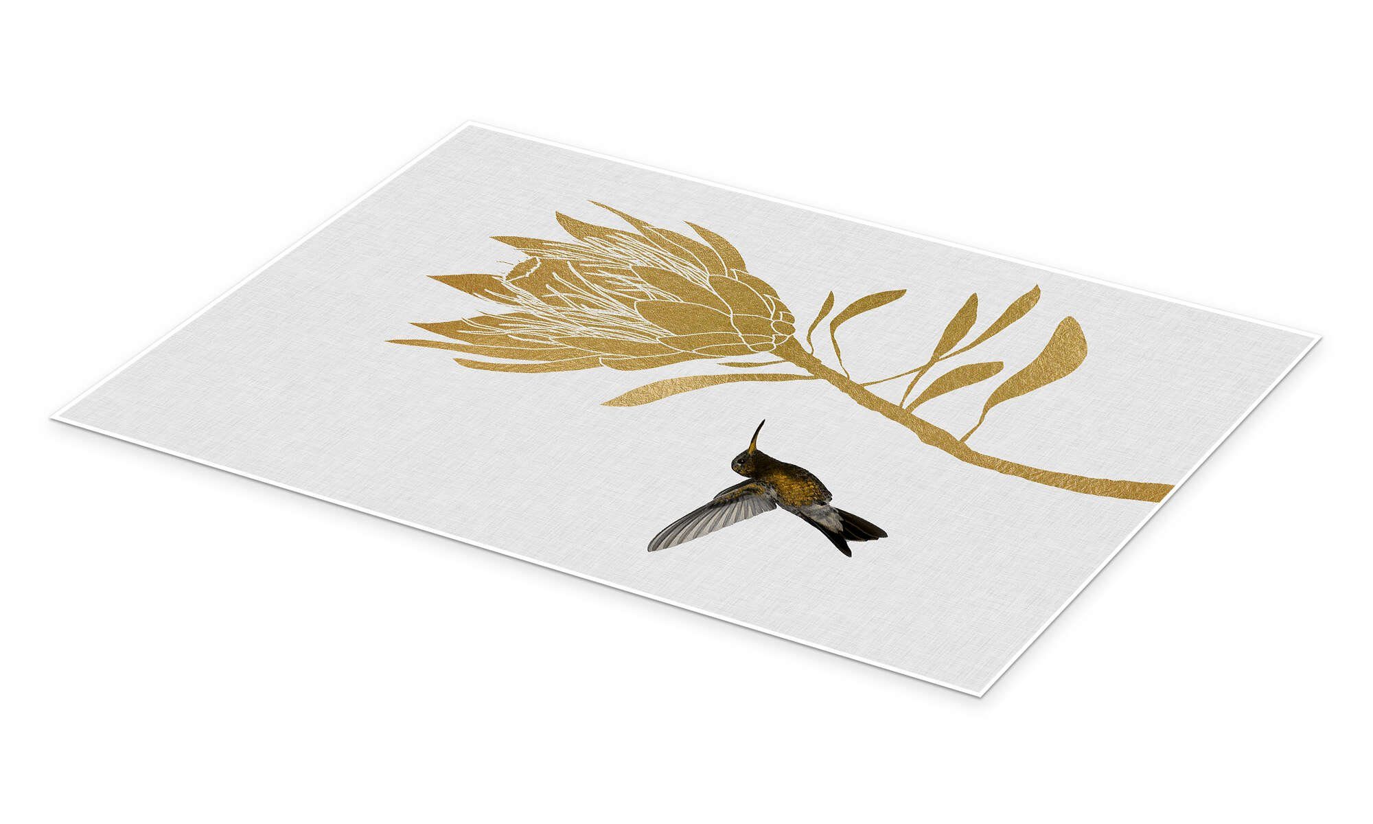 Posterlounge Wandbild Kolibri & Blume I, Orara Studio, erhältlich als Poster, Leinwandbild, Wandsticker oder Acrylglasbild