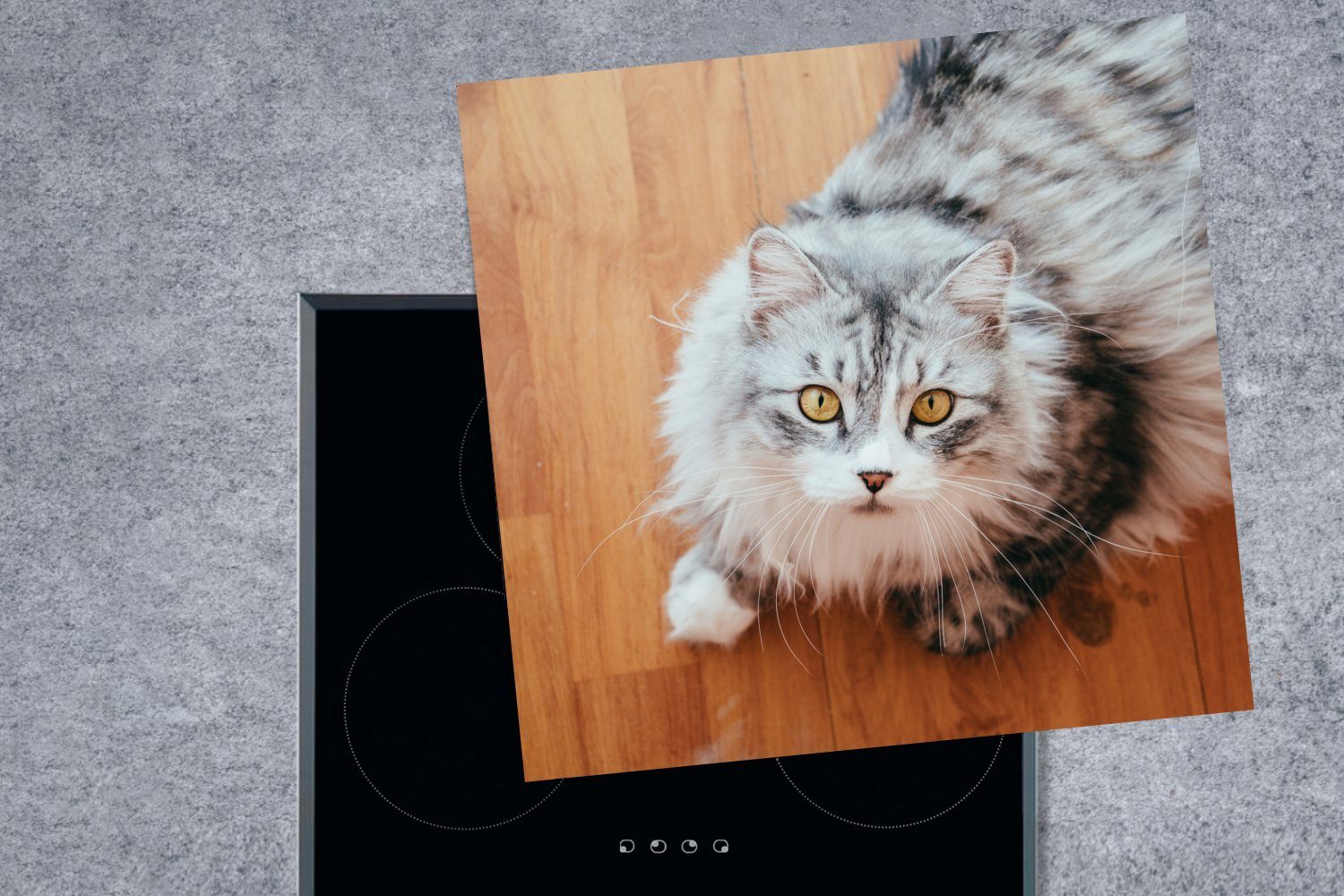 für küche cm, Coon (1 tlg), Vinyl, Katze Ceranfeldabdeckung, Maine Herdblende-/Abdeckplatte schaut auf, MuchoWow Arbeitsplatte 78x78