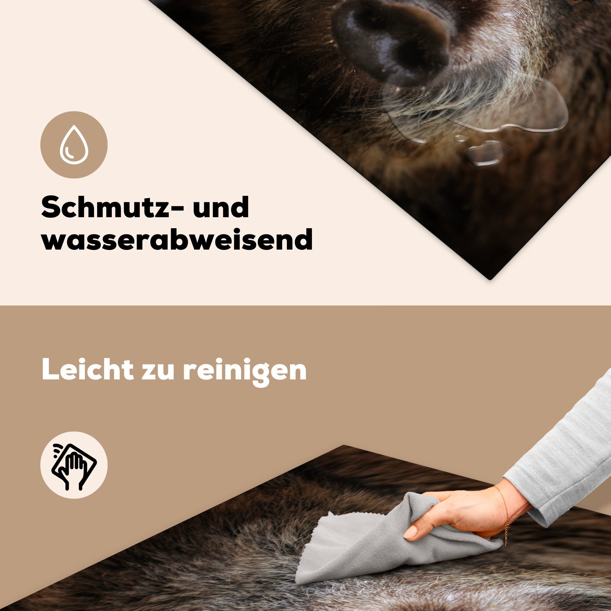 MuchoWow Herdblende-/Abdeckplatte Wildschwein für Tier - (1 tlg), Ceranfeldabdeckung, 78x78 küche Arbeitsplatte - cm, Vinyl, Schwein