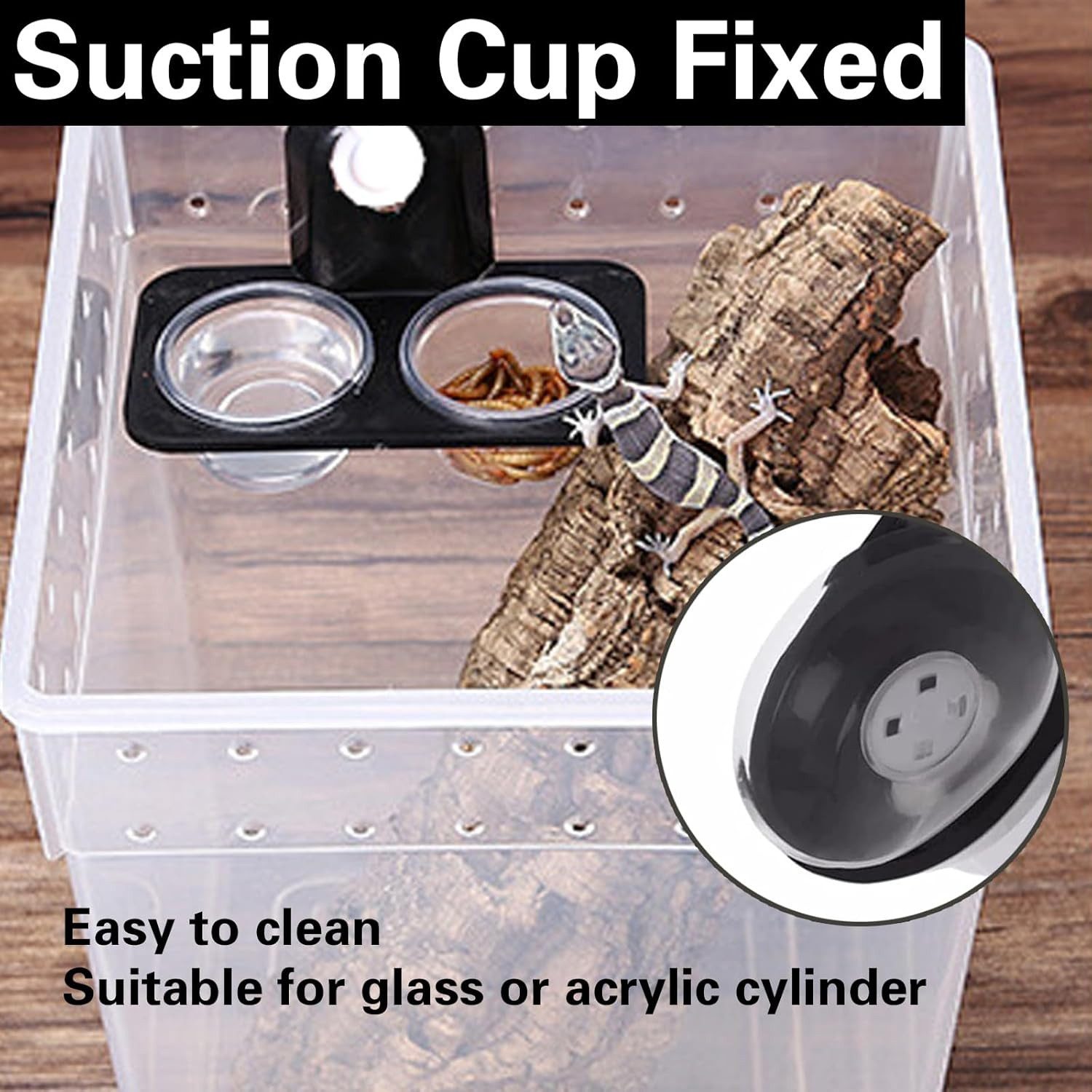 FELIXLEO Futterbehälter 2er Set Reptile Feeder Futternapf Saugnapf für Geckos Leguan, (1-tlg)