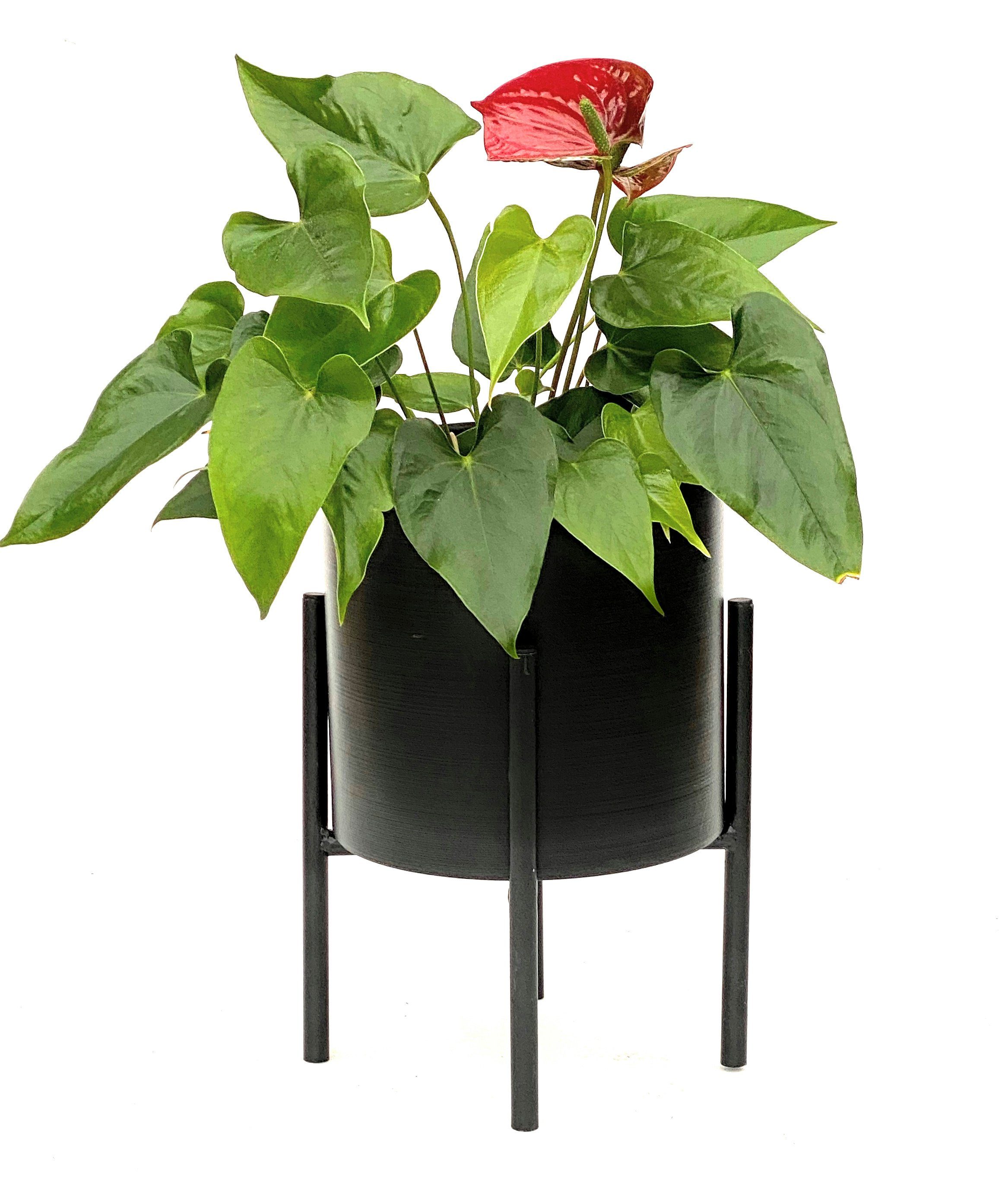 DanDiBo mit Topf Blumenständer cm Pflanzenständer Blumenhocker Blumensäule Pflanzenhocker 32 Blumenständer 96153 Schwarz Metall Modern