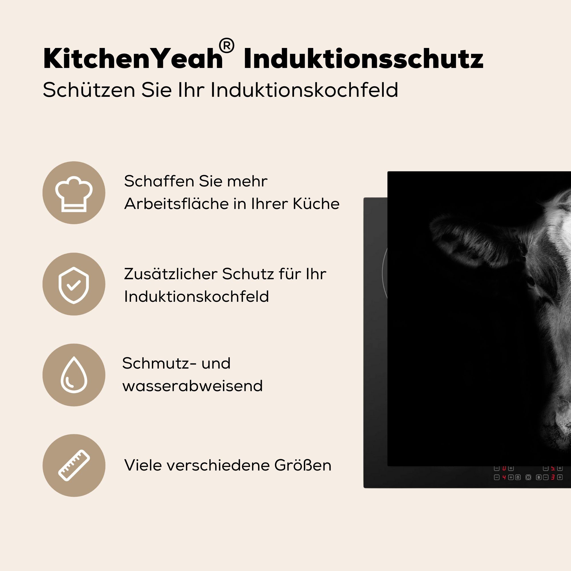 weiß, MuchoWow Arbeitsfläche nutzbar, 70x52 tlg), Mobile Porträt (1 und auf Herdblende-/Abdeckplatte Vinyl, schwarz in schwarzem Ceranfeldabdeckung cm, Kuh Hintergrund