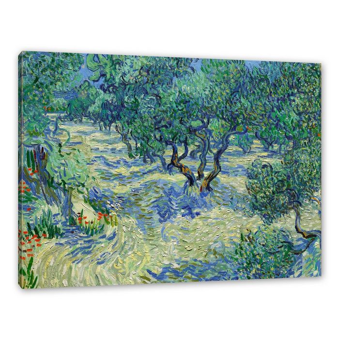 Pixxprint Leinwandbild Vincent Van Gogh - Oliven-Feld Wanddekoration (1 St) Leinwandbild fertig bespannt inkl. Zackenaufhänger