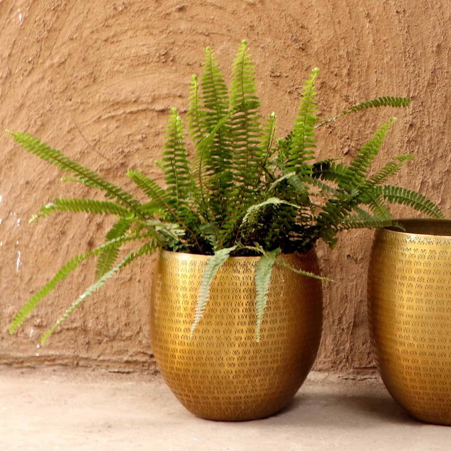 Casa Moro Pflanzkübel Orientalischer Blumentopf Vega Gold Aluminium Pflanzgefäß gehämmert (Metall Pflanztopf Übertopf - Pflanzentopf), Kunsthandwerk mit Hammerschlag verziert
