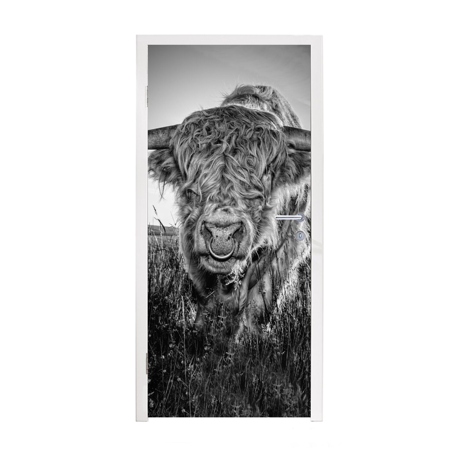 MuchoWow Türtapete Schottischer Highlander - Schwarz und Weiß, Matt, bedruckt, (1 St), Fototapete für Tür, Türaufkleber, 75x205 cm | Türtapeten