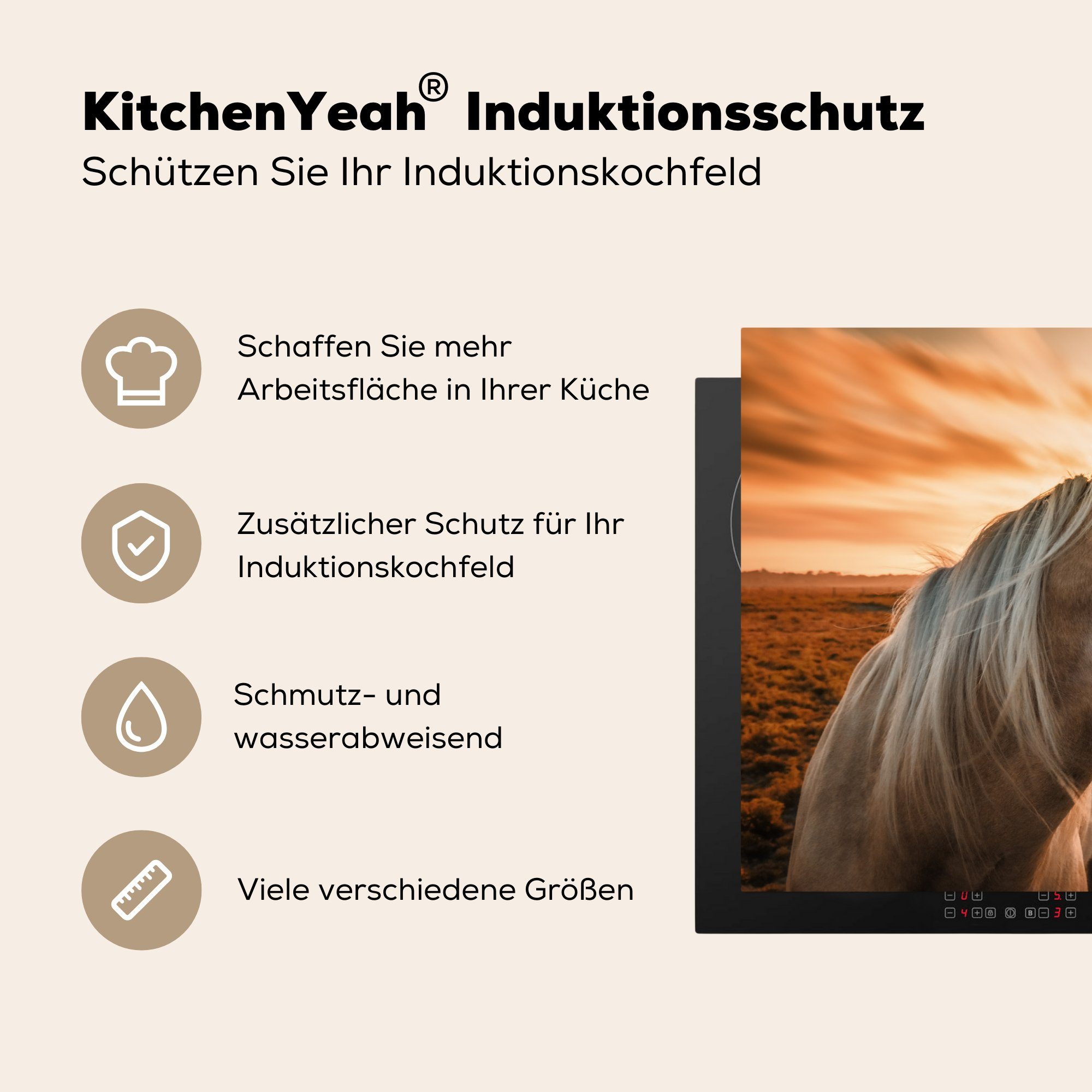 küche, Vinyl, Orange, für tlg), Herdblende-/Abdeckplatte cm, Ceranfeldabdeckung die Schutz Sonne MuchoWow (1 Pferd - Induktionskochfeld - 81x52
