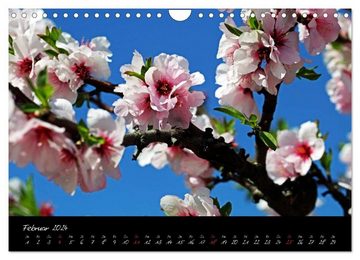 CALVENDO Wandkalender Flower (Wandkalender 2024 DIN A4 quer), CALVENDO Monatskalender