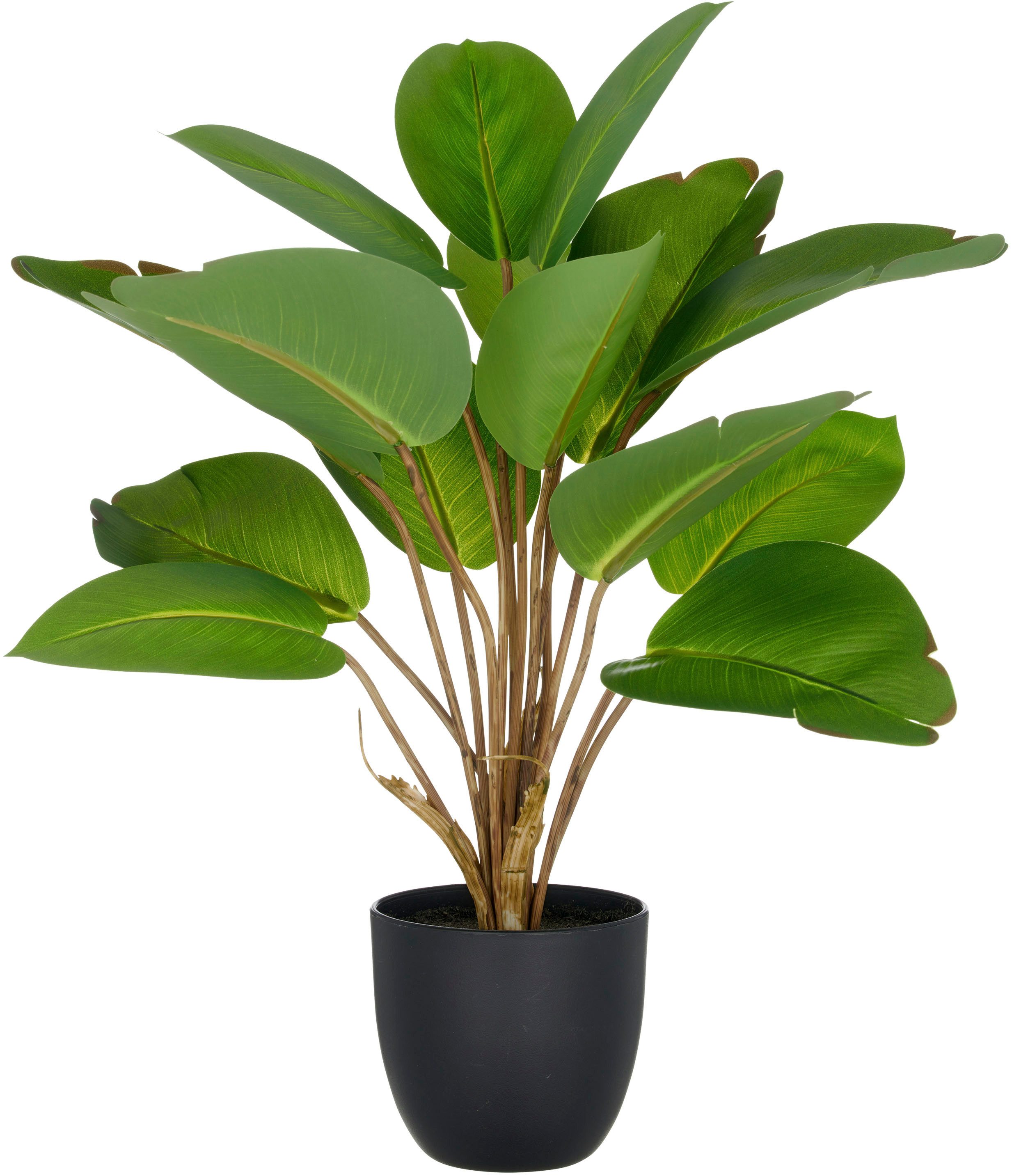 Kunstpflanze Philodendron, Creativ green, Höhe 45 cm, mit naturgetreuem Bla günstig online kaufen