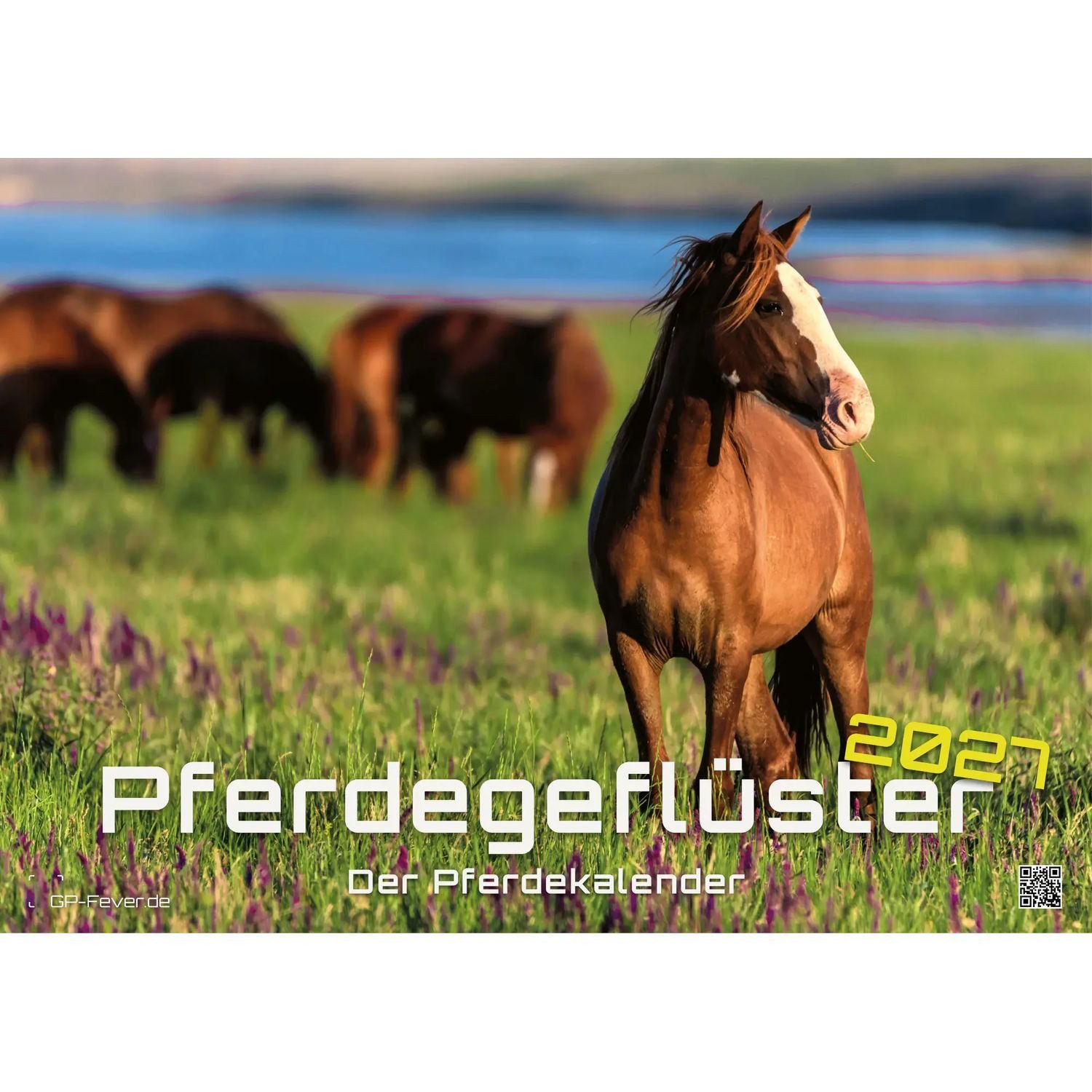 Wandkalender Pferdegeflüster - Der Pferdekalender - 2027 - Kalender DIN A3