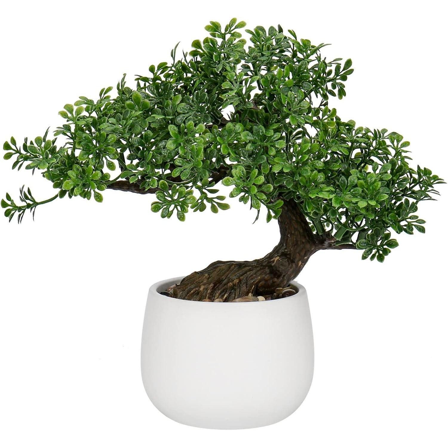 Kunstbonsai Kunstpflanze Bonsai Baum im Keramiktopf 25 cm Podocarpus Weiß-1, LuxusKollektion