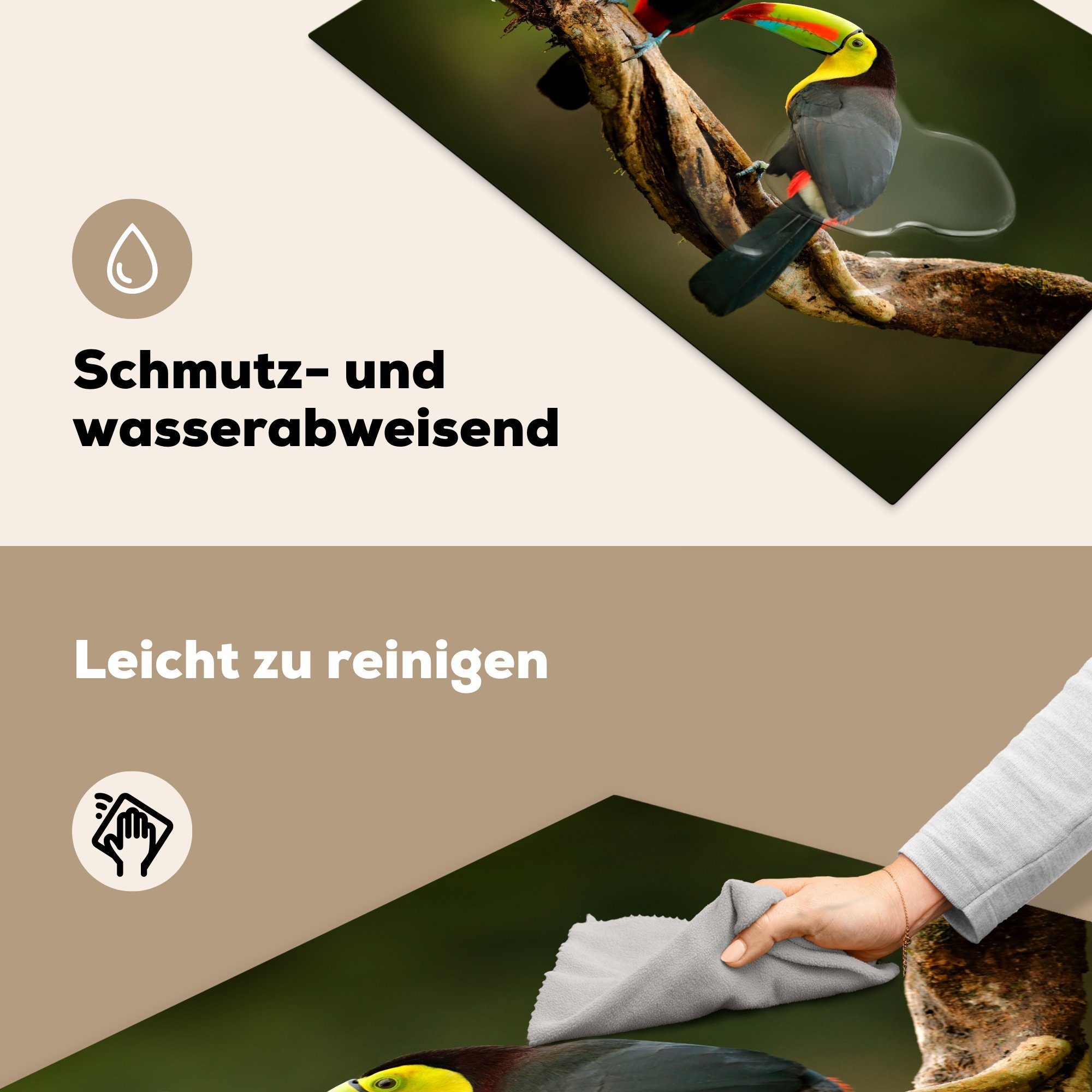 Vögel 81x52 Tukan - (1 MuchoWow Ceranfeldabdeckung Tiere Zweig tlg), die Herdblende-/Abdeckplatte - küche, Vinyl, Schutz für - Regenbogen, - Induktionskochfeld cm,
