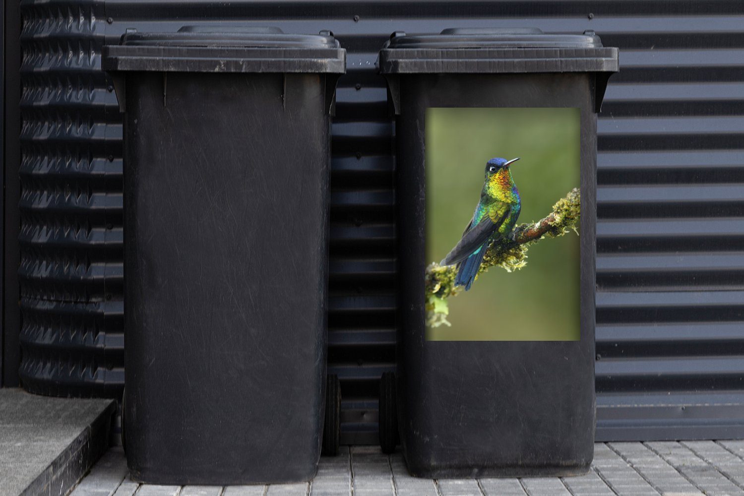 Abfalbehälter Container, St), Vogel - Farben Kolibri - Mülltonne, MuchoWow (1 Sticker, Wandsticker Mülleimer-aufkleber,