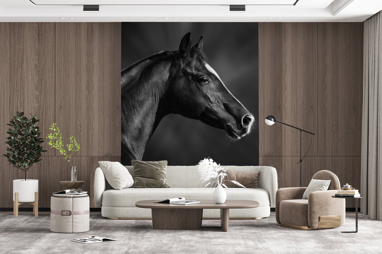 MuchoWow Fototapete Pferd - Tiere (4 Matt, Wandtapete Porträt, Tapete Schwarz - bedruckt, Vinyl - Weiß für - Wohnzimmer, Montagefertig St)
