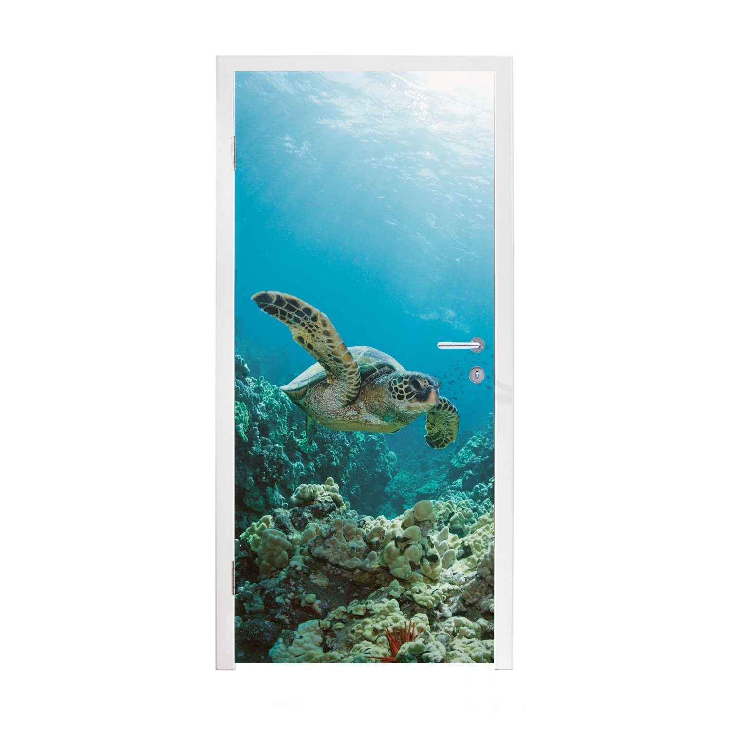 MuchoWow Türtapete Meeresschildkröte vor Hawaii, Matt, bedruckt, (1 St), Fototapete für Tür, Türaufkleber, 75x205 cm