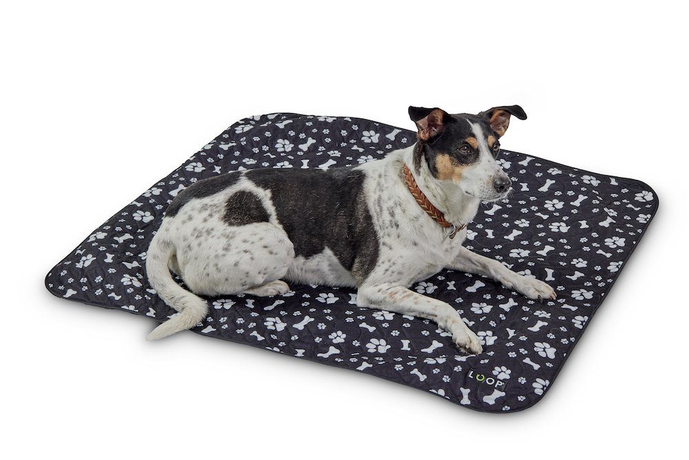 LOOPdogs Hundematte PIPILOTTA - urinundurchlässige Liegefläche