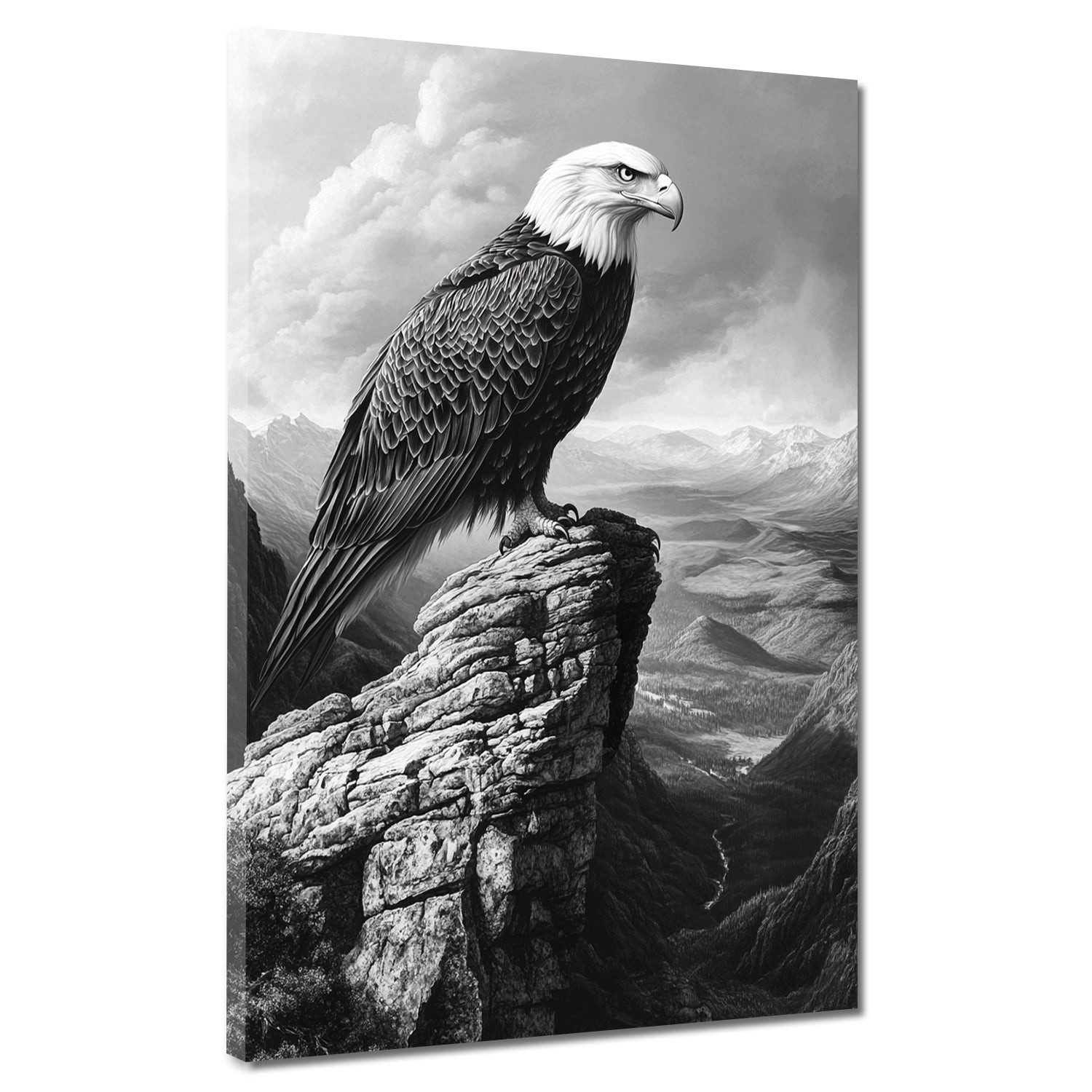 Artedinoi Leinwandbild Adler schwarz weiß Berglandschaft Stärke Leinwandbild Wandbild XL Wand, Adler in Schwarz-Weiß, Berge