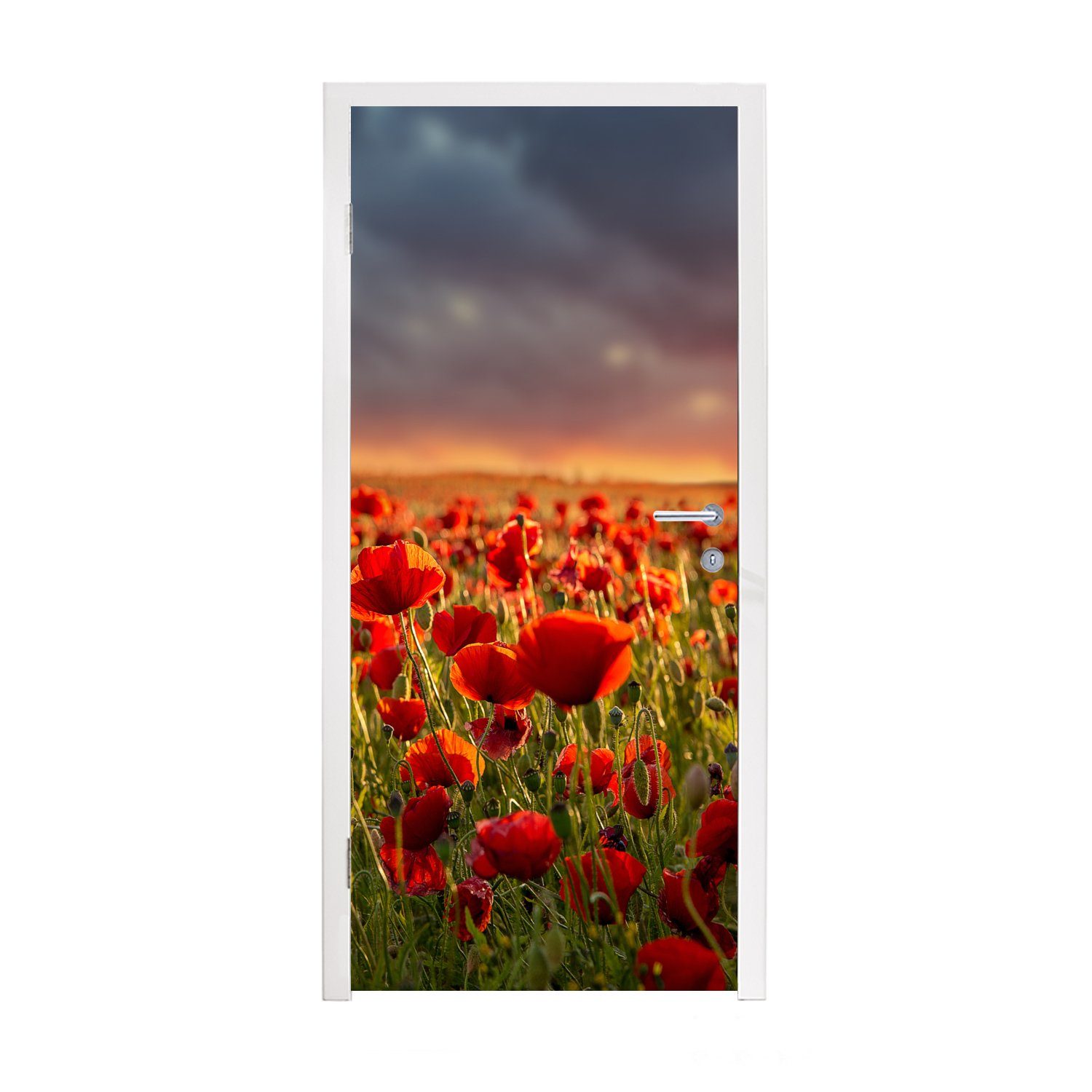 MuchoWow Türtapete Sonnenuntergang über einem Feld von Mohnblumen, Matt, bedruckt, (1 St), Fototapete für Tür, Türaufkleber, 75x205 cm