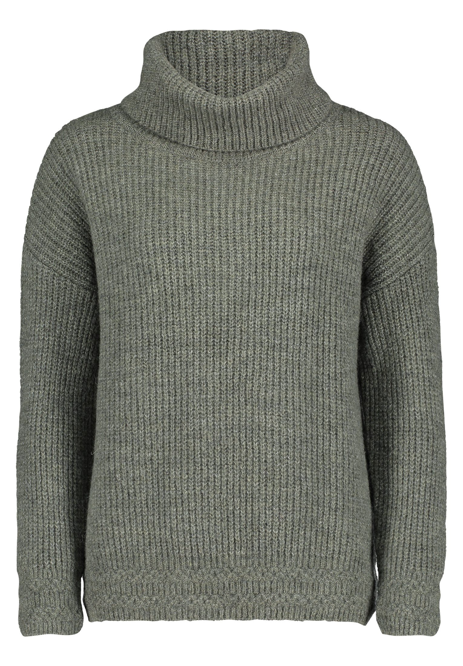 Cartoon Strickpullover Damen Basic-Pullover mit Turtle günstig online kaufen