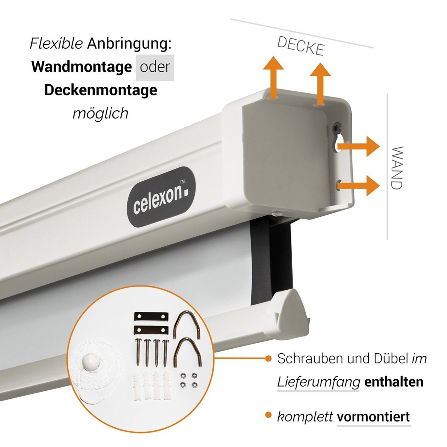 Celexon Professional Rolloleinwand (schwarze Rückseite)
