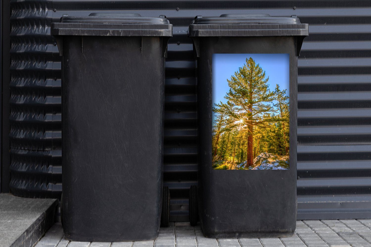 den Mülleimer-aufkleber, Wandsticker im Sequoia im Vereinigten in Sonne Winter MuchoWow Park (1 Staaten Mülltonne, Container, St), Sticker, National Abfalbehälter