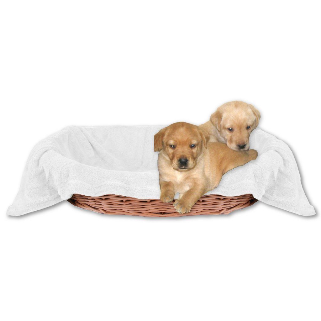 Bestlivings Tierdecke Hundedecke / Katzendecke, Kuscheldecke Schmusedecke für Ihr Haustier, perfekt geeignet als Schlafplatz/-decke, in vielen versch. Variationen verfügbar