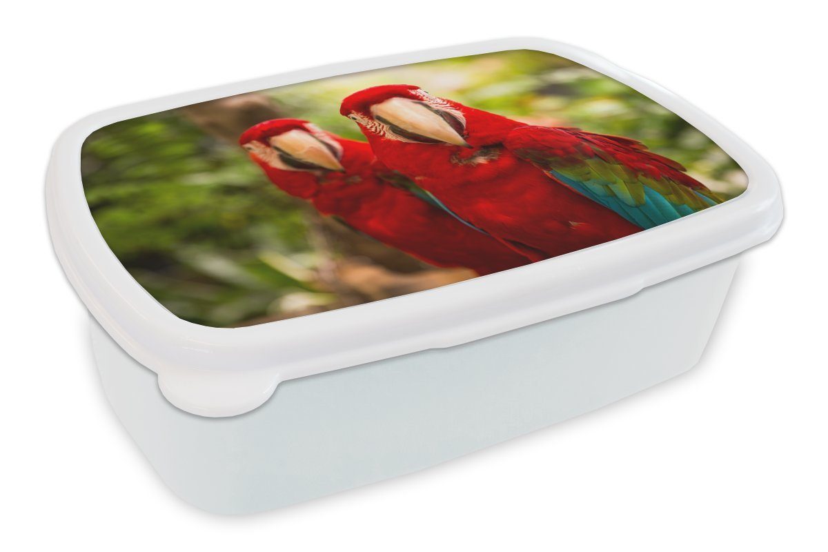 MuchoWow Lunchbox Papageien - Vögel - Dschungel, Kunststoff, (2-tlg), Brotbox für Kinder und Erwachsene, Brotdose, für Jungs und Mädchen weiß